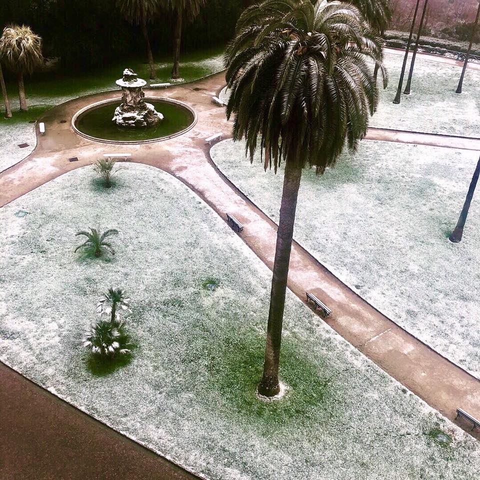 VIDEO-Neve a Napoli: Un Buongiorno con i fiocchi… di neve al Museo e Real Bosco di Capodimonte