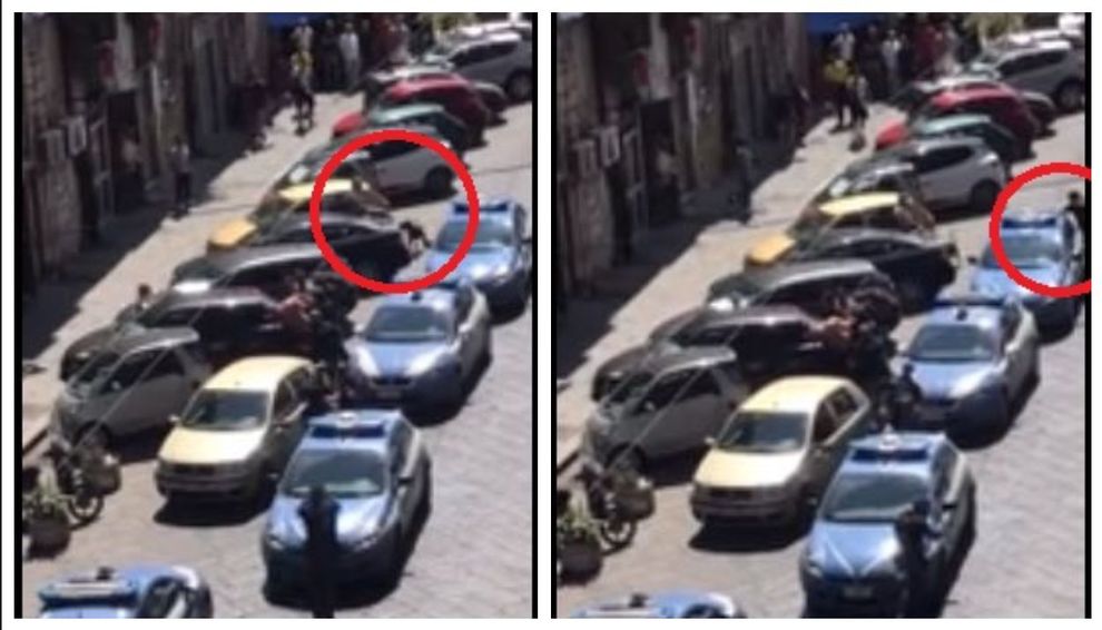 VIDEO-Napoli, cane azzanna poliziotto per impedire l’arresto del padrone. Un agente gli spara e lo uccide