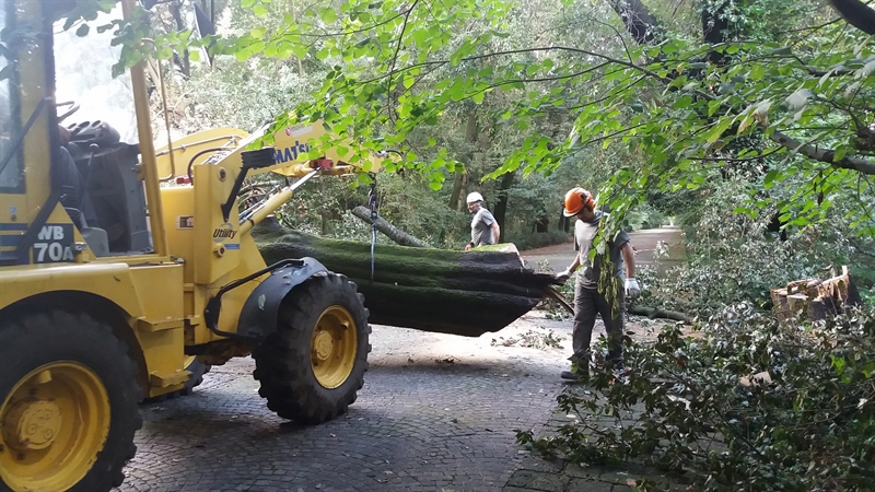 Simulazione di allerta meteo al Museo e Real Bosco di Capodimonte per la Settimana Nazionale della Protezione Civile
