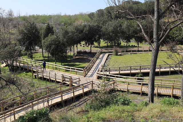 Grande Progetto Vesuvio: inaugurato il 30 marzo il Sentiero numero 11 “La Pineta di Terzigno”