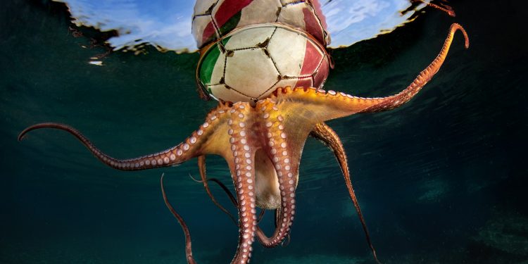 Procida 2022, ecco “Watersurface”: in mostra l’impatto dell’inquinamento sul mare