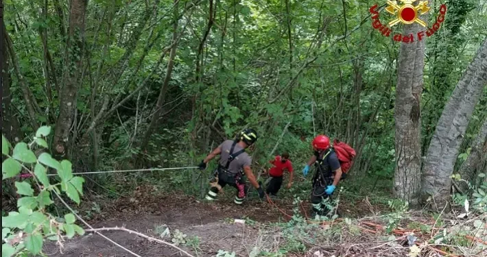 Uomo ucciso e fatto a pezzi da moglie e figli nel salernitano