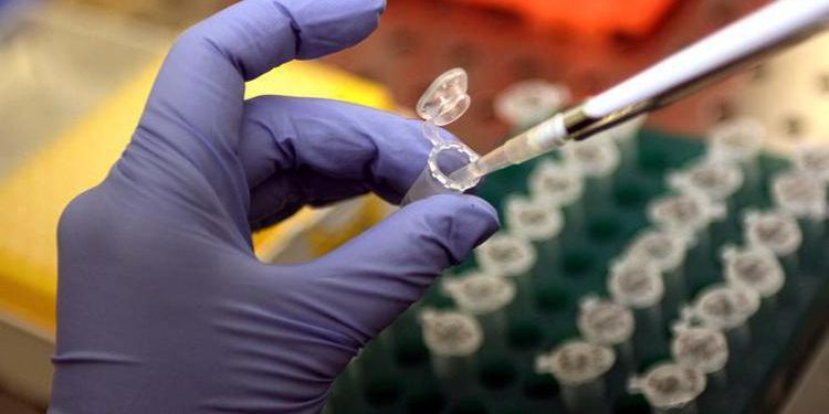 Nuovo virus in Cina: è più contagioso del covid, mortalità al 70%