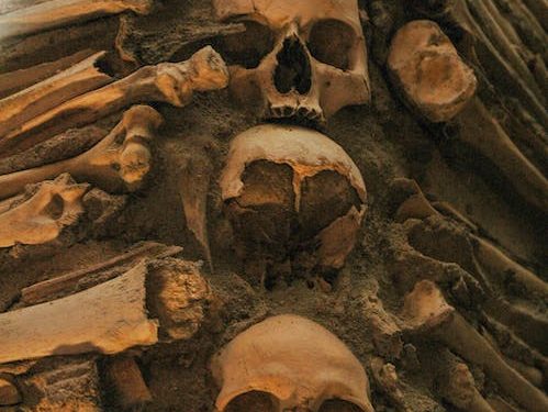 Cannibalismo: i serial killer rivelano che sapore ha la carne umana