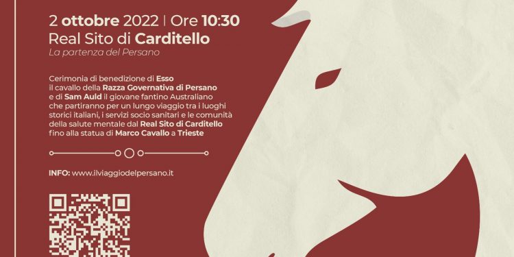 Da Caserta a Trieste, il viaggio del cavallo persano per la salute mentale