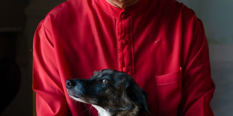 Domenica 2 ottobre, Peppe Barra a Scampia con lo spettacolo “Pierino e il lupo”