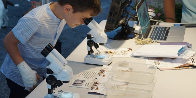 Procida 2022, nella Notte Europea dei Ricercatori il racconto di “Scienza Aperta”