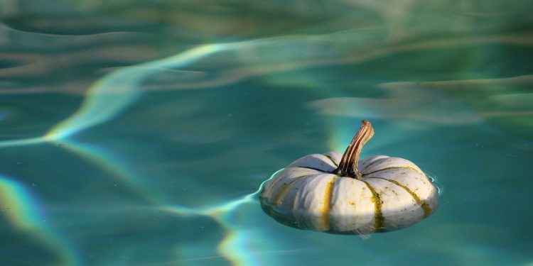 Dal 1° al 31 ottobre: “Un mare di zucche” al Flava Beach