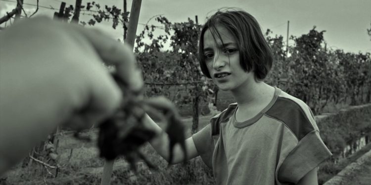 Napoli Film Festival: Anteprima “Dura Lex” di Maurizio Braucci 