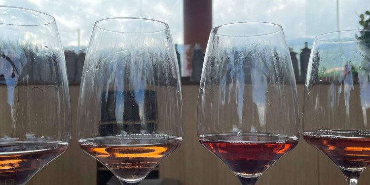 Sud Top Wine, oltre 600 etichette da sei regioni italiane: domenica 23 ottobre premiazione a Taormina Gourmet