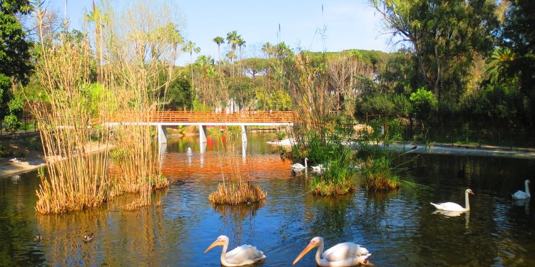 Allo Zoo di Napoli&nbsp;&nbsp;lo spettacolo del Foliage autunnale