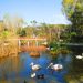 Allo Zoo di Napoli&nbsp;&nbsp;lo spettacolo del Foliage autunnale