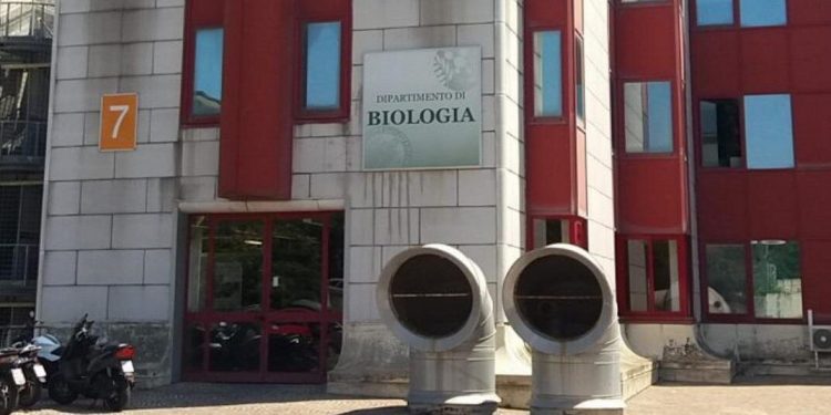 Abusi sulle studentesse: tecnico di laboratorio della Federico II di Napoli accusato di violenza sessuale