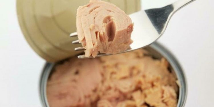Mercurio nel tonno in scatola, come capire se contaminato