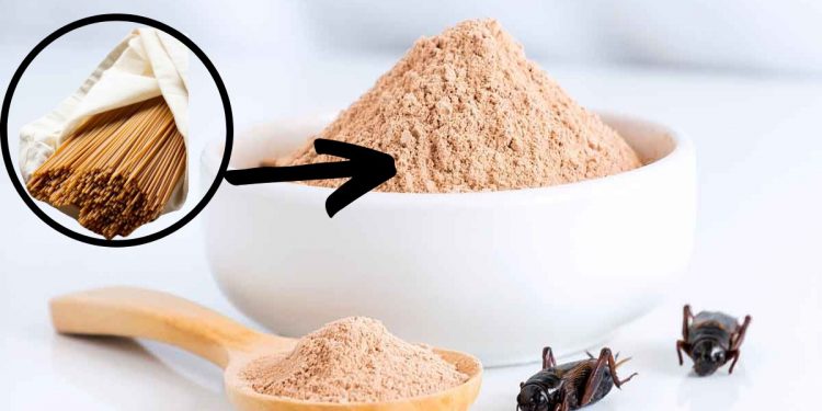 Al supermercato i primi spaghetti con farina di grillo