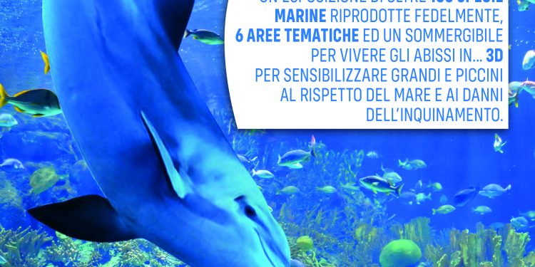 Al Centro Commerciale Neapolis un’esperienza 3D per scoprire e rispettare i fondali sottomarini 