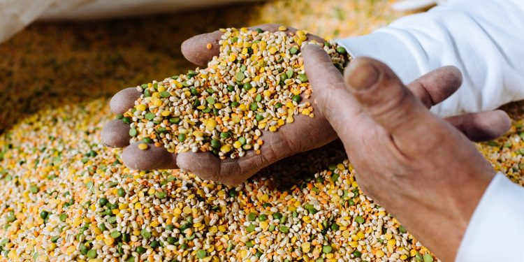 Salute, legumi Select a sostegno di Fondazione Umberto Veronesi