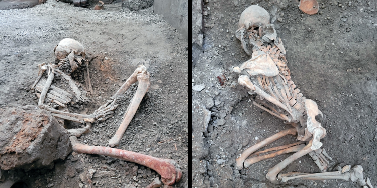 Scavi Pompei, scoperti due nuovi scheletri: furono vittime terremoto