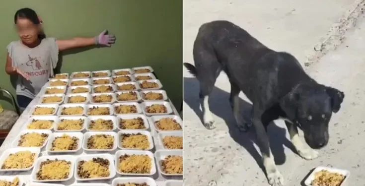 Bambina prepara decine di piatti per i cani randagi: la sua storia diventa virale