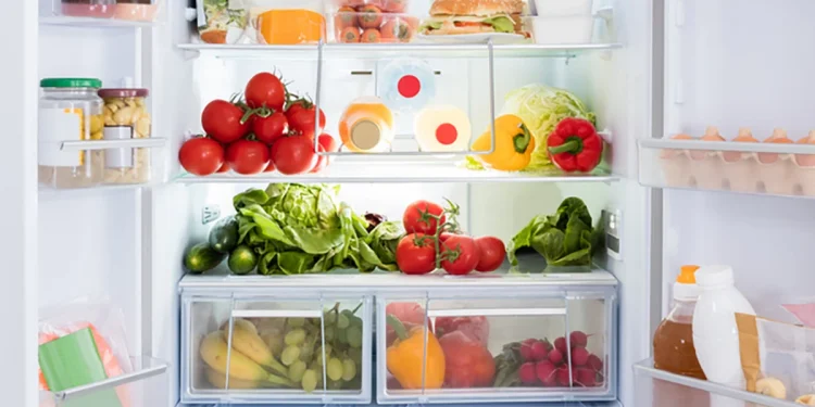 Frigorifero o congelatore? Ecco come conservare i cibi prima di partire