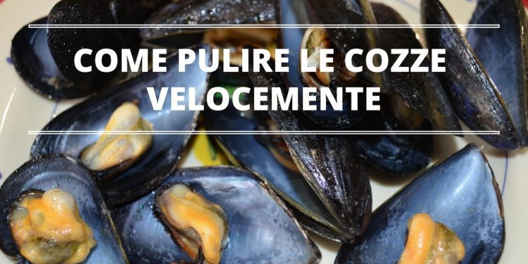 Il semplicissimo trucco degli chef per pulire le cozze: il risultato vi stupirà