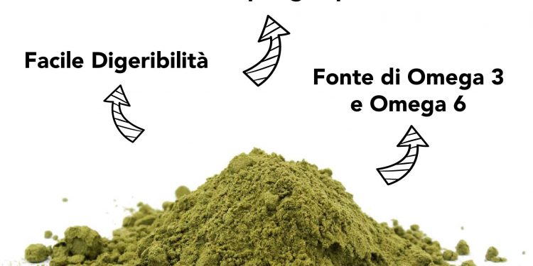 Oltre i pregiudizi: quello che la scienza sa sui potenziali benefici della canapa