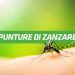Punture di zanzara: rimedi naturali per curarle e prevenirle
