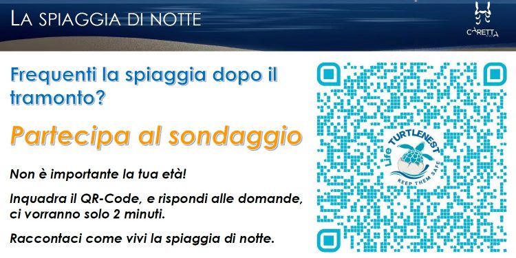 Aiuta a proteggere le tartarughe marine: partecipa al sondaggio