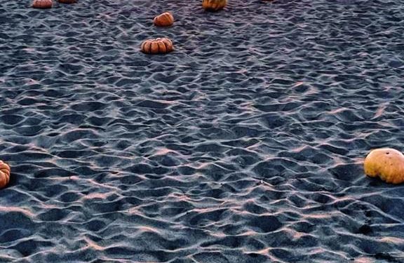 Al via al Flava Beach, la seconda edizione di “Un mare di zucche”