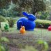 Casalnuovo di Napoli, le coloratissime sculture di Cracking Art giungono in città