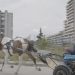 Le “Visioni Urbane” degli studenti di Scampia in docufilm a episodi: anteprima al cinema Plaza