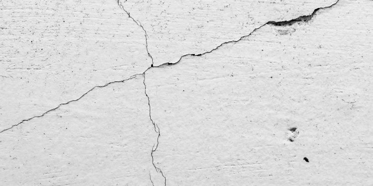 Sabato 28 ottobre al Nest: concerto e presentazione del disco Openquartet