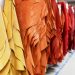 Caminati Pellami: con lo shop online la vendita di pelle è a portata di click 