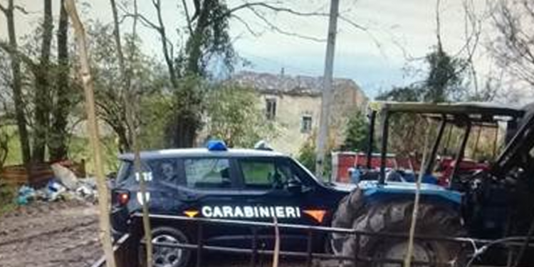 Ponticelli: maiale morto tra i rifiuti fa scoprire allevamento abusivo