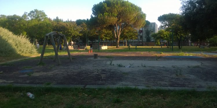 VIDEO-Casella jr all’assalto: razzia di alberi nel parco De Simone di Ponticelli