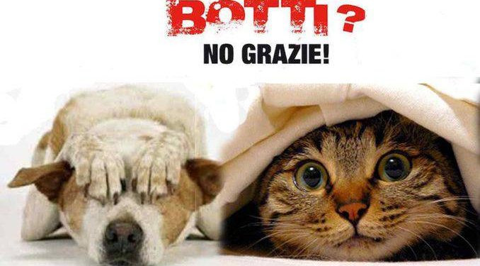 Come proteggere cani e gatti dai botti di capodanno