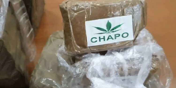 Narcotraffico internazionale, droga importata da Olanda e Spagna per le piazze napoletane: 29 indagati