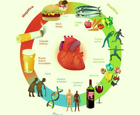 Infarto e malattie cardiovascolari: smog, salute mentale e gli altri nuovi fattori di rischio