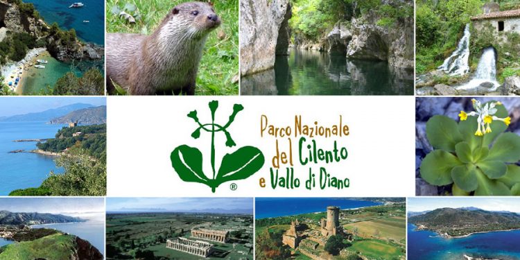 Appello della Fondazione Angelo Vassallo al Ministro dell’Interno contro la corruzione nel Parco Nazionale del Cilento