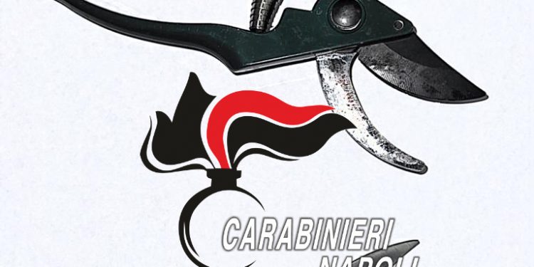 Napoli, carabinieri presidiano le strade e i locali della movida
