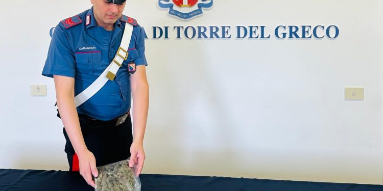 Massa di Somma: Carabinieri arrestano madre e figlio