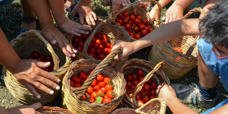 In Irpinia il primo Farm Festival sul consumo consapevole