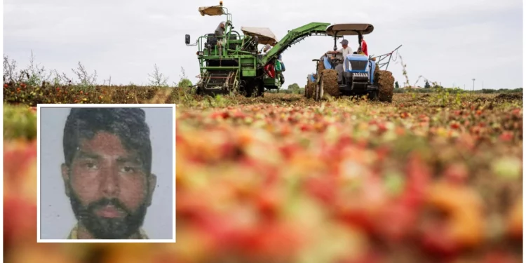 Satnam Singh, chi era il lavoratore agricolo morto a Latina con un braccio amputato