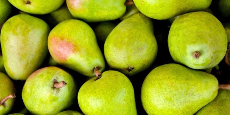 Conservabilità dei prodotti agricoli al top con BioAksxter® 