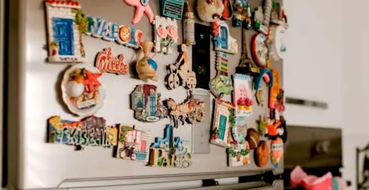 Calamite sul frigorifero, ecco cosa succede se non le togli subito