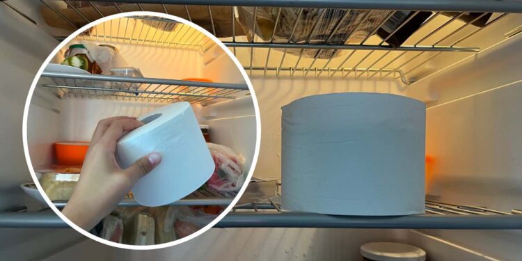 Carta igienica nel frigorifero, la funzione inaspettata che sta spopolando in tutto il mondo