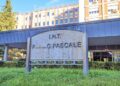 Concorso Ospedale Pascale Napoli per Assistenti e Collaboratori Amministrativi: 13 posti per diplomati e laureati