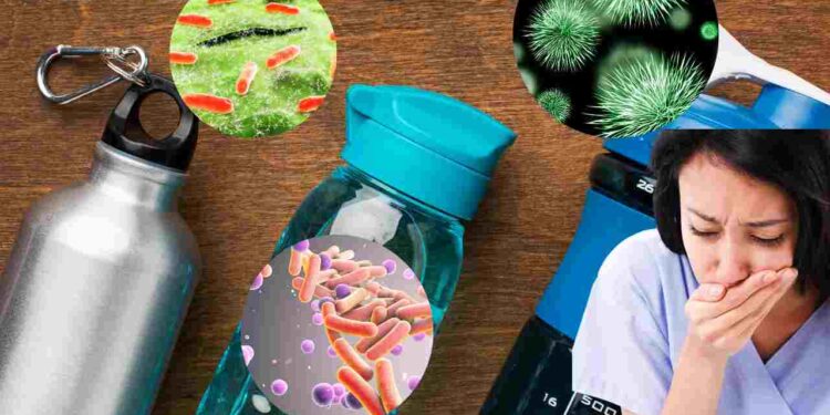 Muffe e batteri, quanto sono sporche le borracce e come pulirle correttamente