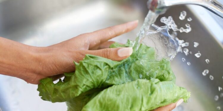 Come disinfettare la lattuga in modo veloce e sicuro