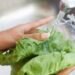 Come disinfettare la lattuga in modo veloce e sicuro